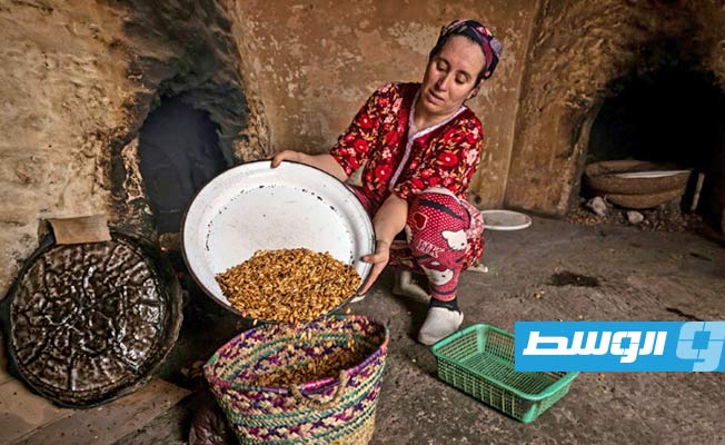 إحجام الشباب يهدد صناعة زيت الأرغان في المغرب