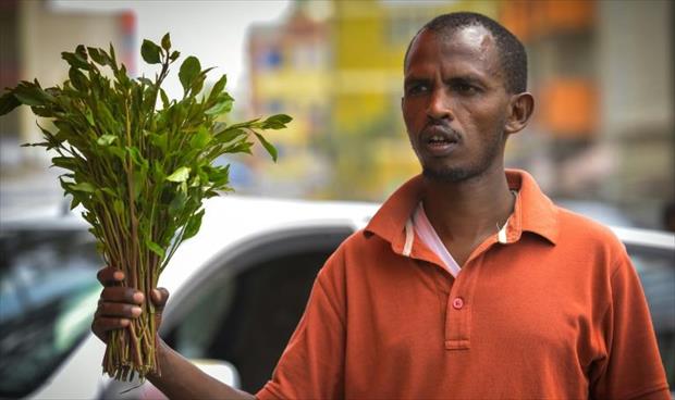 إثيوبيا توفر علاجات للإقلاع عن إدمان القات