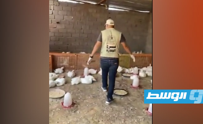 غلق سلخانة دجاج بمنطقة الكريمية (فيديو)