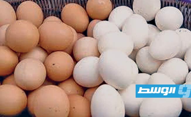مصر تصدر 6 ملايين بيضة مائدة إلى ليبيا