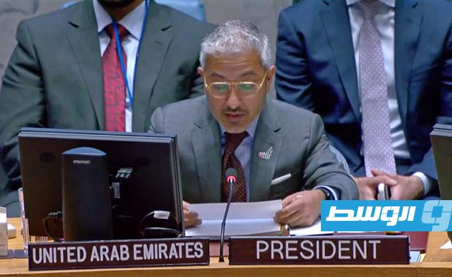 الإمارات تدعو لسحب متزامن وتدريجي للمقاتلين الأجانب والمرتزقة من ليبيا