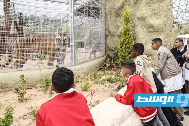 Pictures: Crowds gather for the opening of the Tripoli Zoo