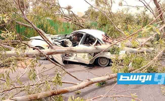 حطام سيارة سقطت عليها شجرة بطريق الجامعة بالعاصمة طرابلس، 13 مايو 2023. (مديرية أمن طرابلس)