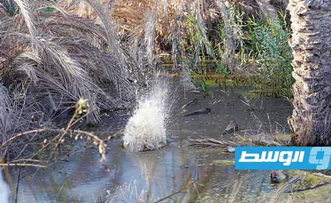 حكومة الدبيبة تدرس ظاهرة ارتفاع منسوب المياه الجوفية في زليتن