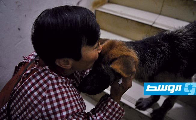 صينية تؤوي 1300 كلب في منزلها