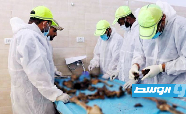 12 bodies exhumed from mass grave near Jufra base