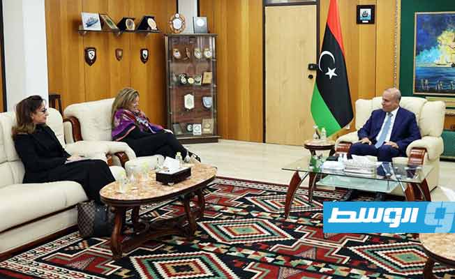 وليامز: مهمتي في ليبيا قيادة المسارات السياسية والاقتصادية والعسكرية