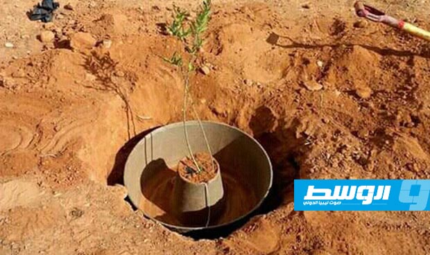 دعوات لإعادة تأهيل الغابات المتضررة بالجبل الأخضر.. و«ليبيا الجديدة» تأخذ زمام المبادرة