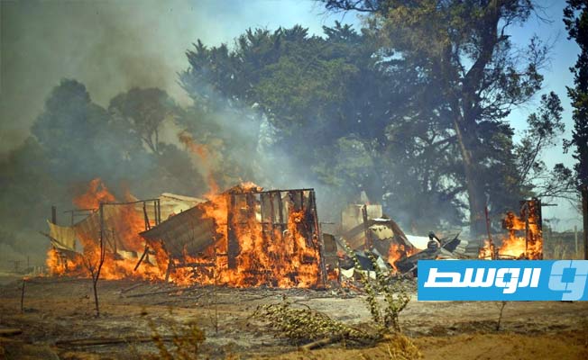 تشيلي: 23 قتيلا وإصابة 900 شخص في 250 حريقا بالغابات