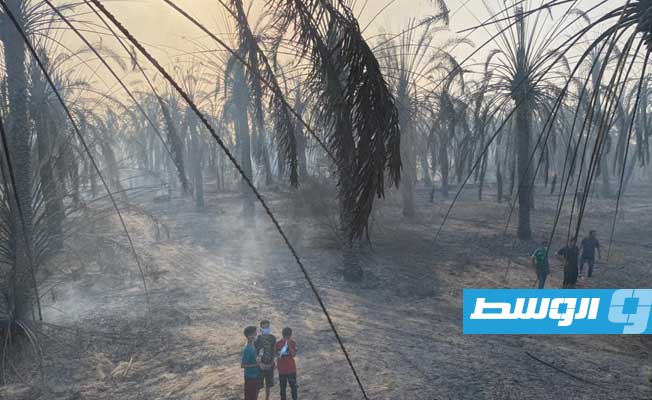 رجال الإطفاء خلال إخماد حريق في مزارع بواحة جالو، 24 أبريل 2023، (هيئة السلامة الوطنية)