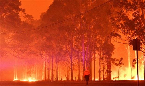 دخان حرائق أستراليا مسؤول عن مئات الوفيات