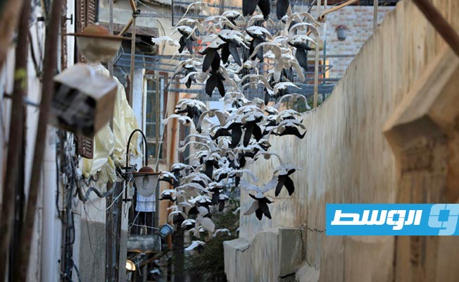 15 ألف حمامة تزين سماء دمشق القديمة تحاكي سنوات الحرب