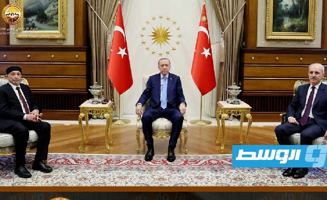 عقيلة يبحث مع إردوغان تعزيز العلاقات الثنائية