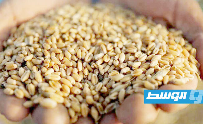 نقص القمح يثير مخاوف في العالم العربي بعد غزو روسيا لأوكرانيا