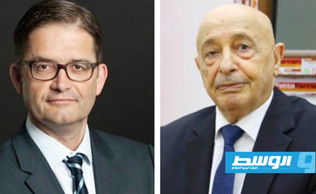 صالح يبحث مع سفير ألمانيا دور مجلس النواب في «خارطة الطريق الانتخابية»