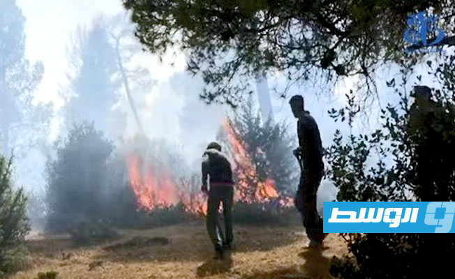 الجزائر.. مصرع وإصابة 41 بعد نشوب 97 حريقا في 16 ولاية