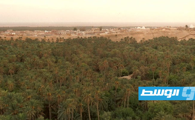استنزاف ينابيع المياه يهدد واحة «نفطة» التونسية بالجفاف