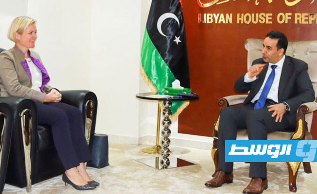 النويري يبحث مع السفيرة البريطانية تطورات الأوضاع السياسية في ليبيا