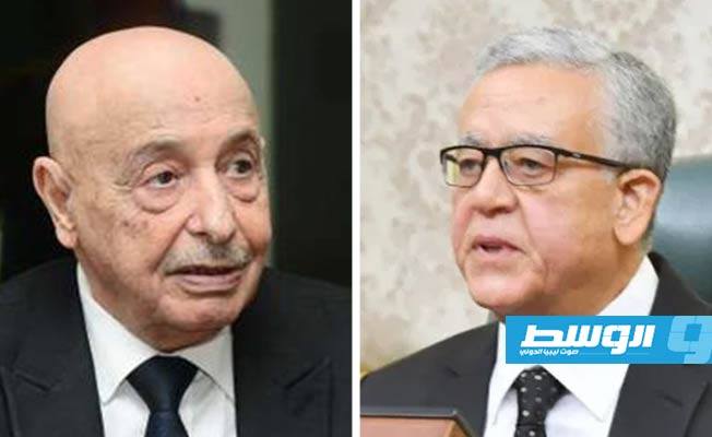 عقيلة صالح يهنئ المستشار حنفي الجبالي لانتخابه رئيسا لمجلس النواب المصري