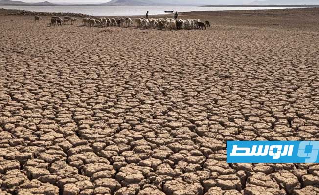 دراسة: موجة جفاف شديد تضرب القرن الإفريقي بسبب الاحتباس المناخي