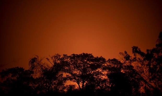 النيران تحول جنة للتنوع الحيوي في البرازيل إلى جحيم