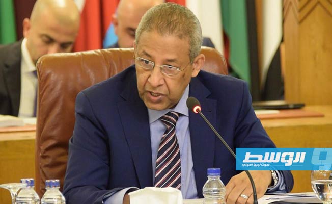 ليبيا رئيسا لمجلس الوزراء العرب لشؤون البيئة