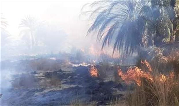 حريق هائل يلتهم أكثر من 10 آلاف نخلة في بلدية تازربو