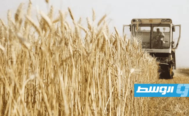 أوكرانيا: خسرنا «ربع الأراضي الصالحة للزراعة» بسبب الغزو الروسي