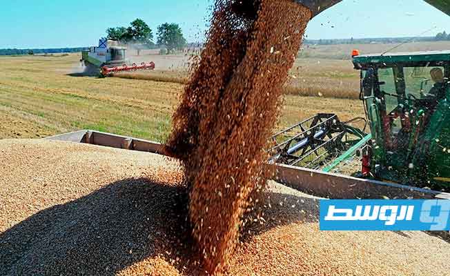دراسة تتوقع ارتفاع أسعار الحبوب 7% على الأمد البعيد بسبب حرب أوكرانيا