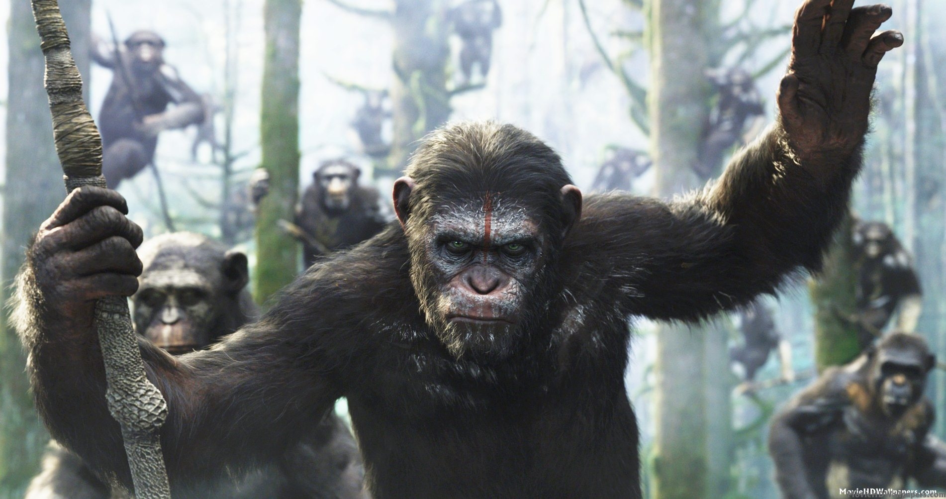 «Dawn of the Planet of the Apes» في صدارة السينما الأميركية للأسبوع الثاني