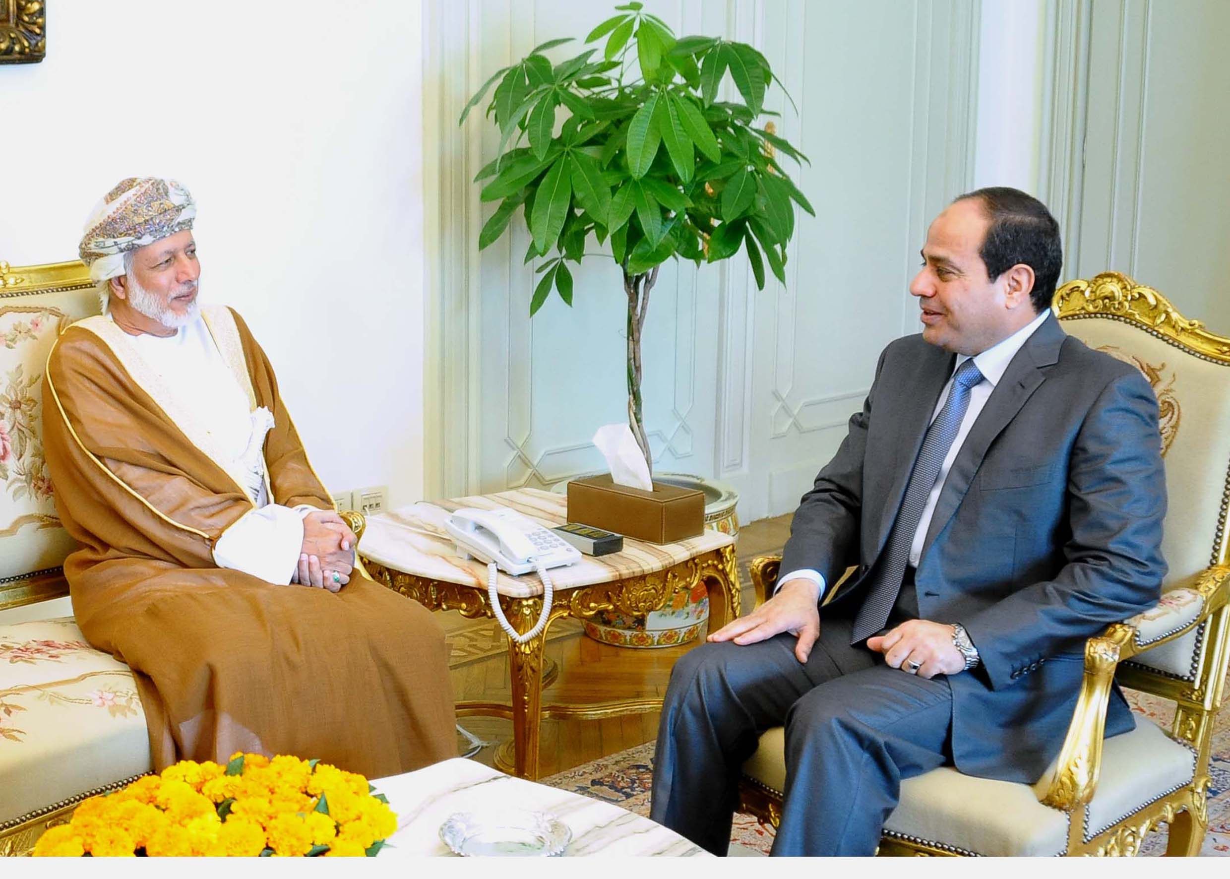 السيسي يلتقي وزير خارجية سلطنة عُمان
