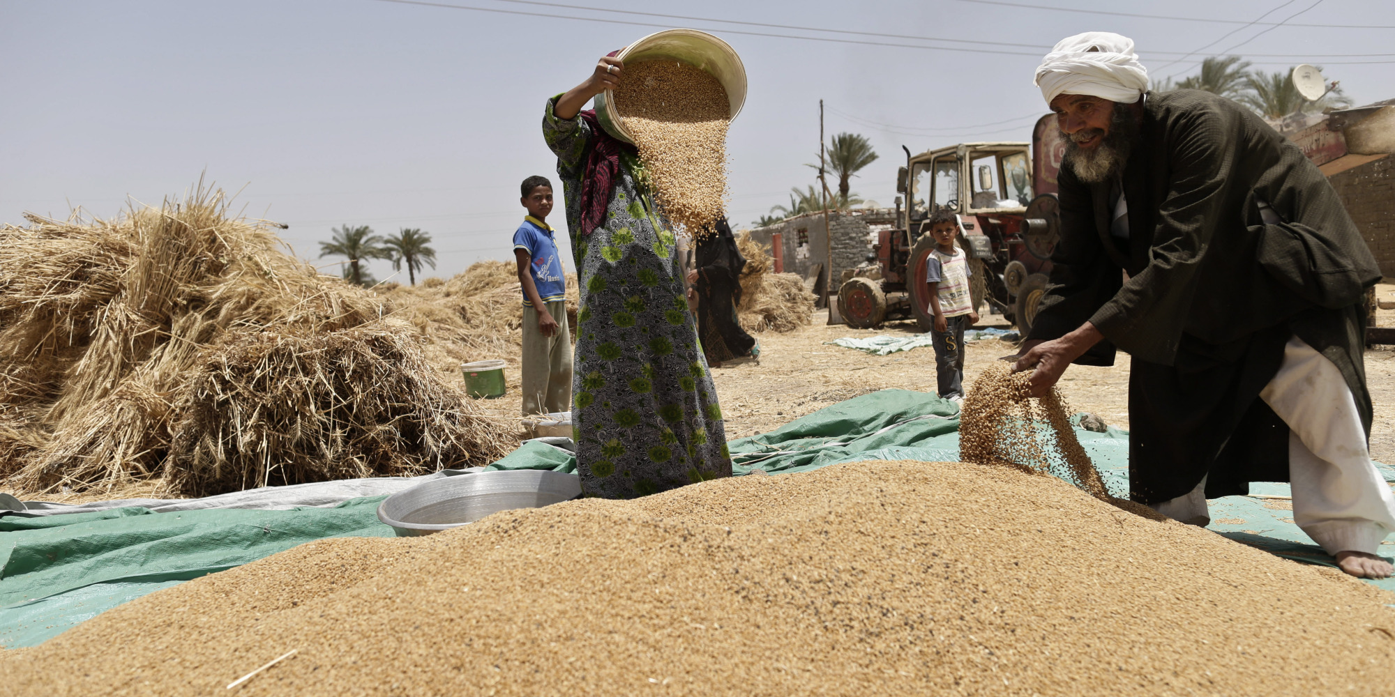 مصر تشترط حصول الشركات الخاصة على موافقة لاستيراد القمح