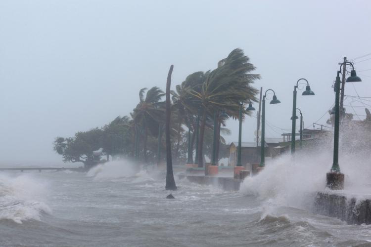  الإعصار «إرما» يقترب من فلوريدا والأهالي يغادرونها بأعداد هائلة 