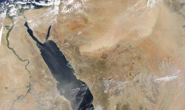«الأرصاد» المصرية: تحذيرات من رياح مثيرة للأتربة وأمطار الجمعة