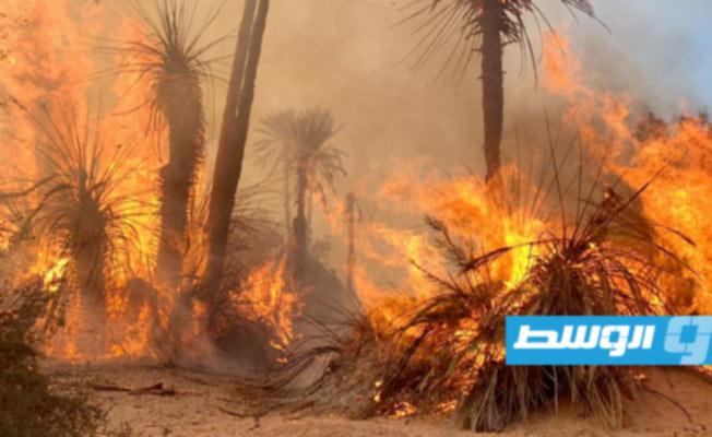 حريق في غابات درج، 22 يناير 2022. (المجلس البلدي درج)
