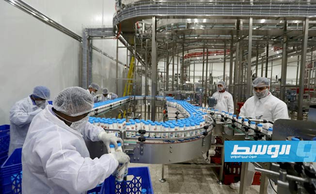 «فرانس برس»: قطر تفتح مصنعا للألبان وتستورد 18 ألف بقرة لمواجهة المقاطعة