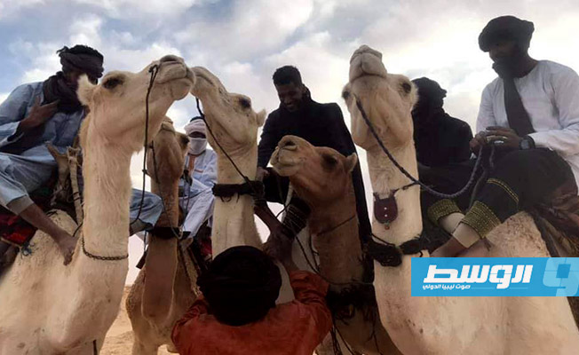 «فوغال للإبل» تمثل ليبيا في دورة تونس الدولية لسباق الهجن المهاري