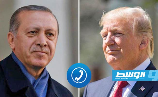 ترامب وإردوغان يشددان على ضرورة وقف إطلاق النار في ليبيا وسورية