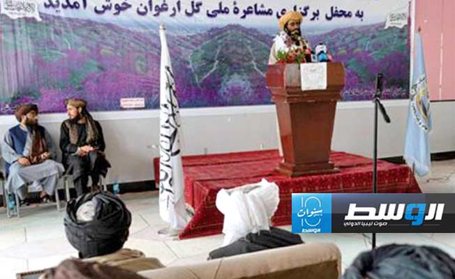 الشعراء في أفغانستان.. يمتدحون «طالبان»