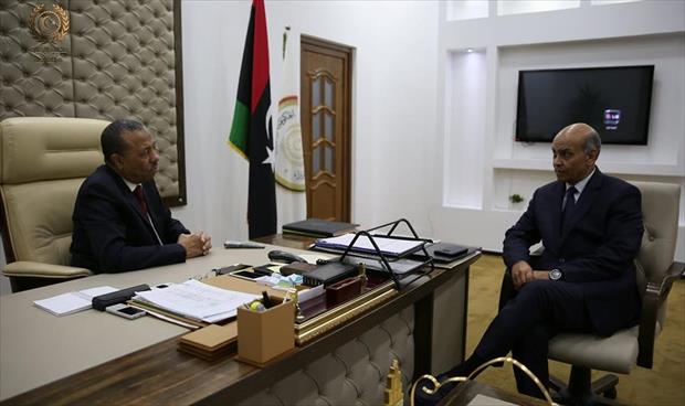 الثني يبحث مع رئيس «الليبية للاستثمار» سير العمل بالمؤسسة وتوحيد قطاع الاتصالات