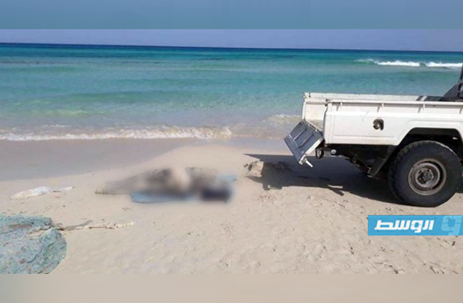 أمواج البحر تلقي «جثة متحللة» على الشاطئ شرق منطقة مرسى البريقة