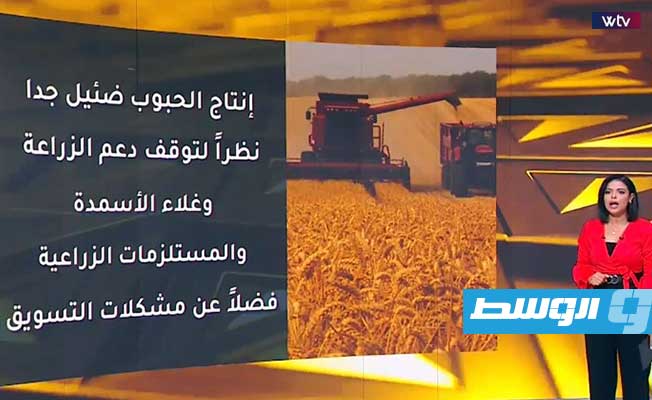 شاهد «اقتصاد بلس»: انخفاض إنتاج ليبيا من الحبوب وسط مطالب بدعم الزراعة