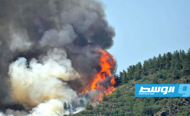 قبرص: 4 قتلى جراء حرائق الغابات