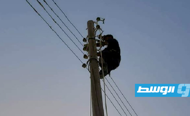 «الكهرباء»: صيانة شبكة توزيع شرق مصراتة