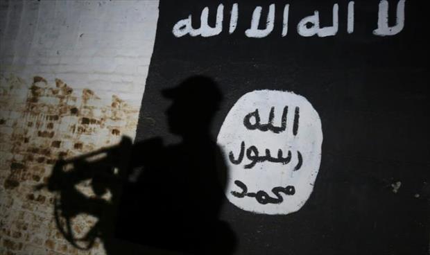 وثائق أمن قومي.. الجيش الأميركي «تمكن» من قرصنة دعاية إلكترونية لـ«داعش» في 2016