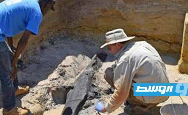 اكتشاف هيكل خشبي يعود إلى نصف مليون عام في أفريقيا
