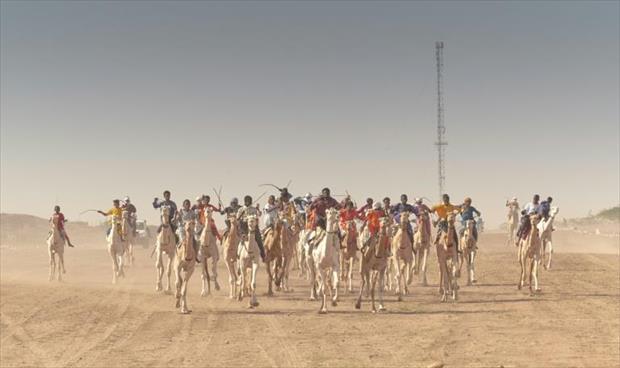 تَنافُس على «مجد الصحراء» في سباق إنغال للجِمال بالنيجر