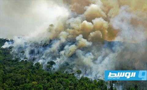 الحرائق «تسمم الهواء» في الأمازون