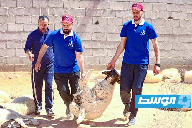GNU: Distribution of Eid sacrificial animals to eligible families in 14 municipalities