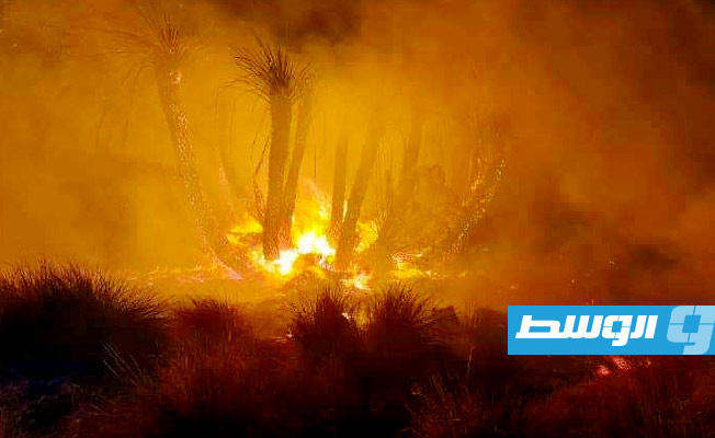 ألسنة النيران تلتهم أشجار النخيل بحي الجزيرة في تازربو